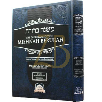 Mishnah Berurah - Vol 3A 242-261 Large - Ohr Olam