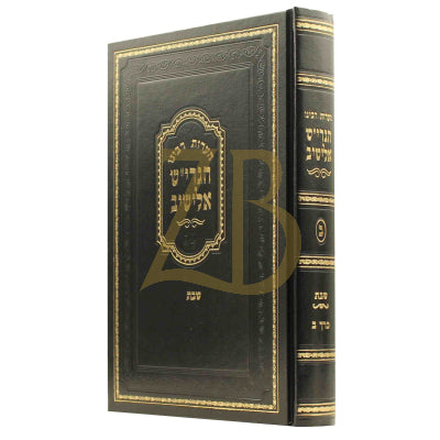 הערות רבינו הגרי"ש אלישיב - שבת ב