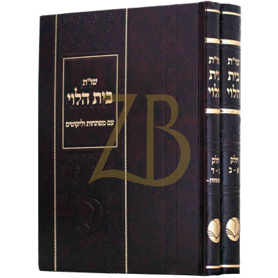 שו"ת בית הלוי החדש - ב"כ