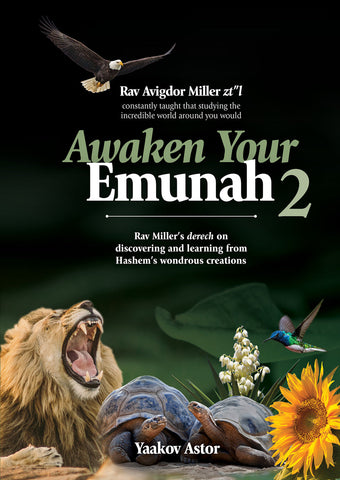 Awaken Your Emunah