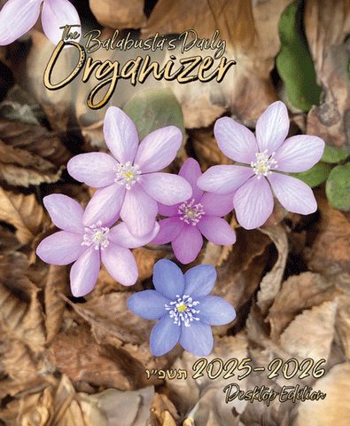 The Balabusta's Daily Organizer 25-26 - Desktop Edition