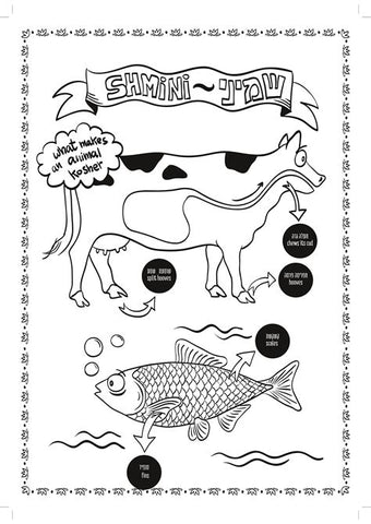 KOSHER ANIMALS COLORING BOOK