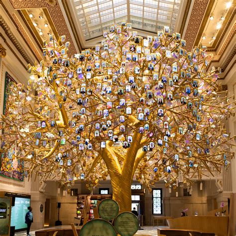 Miforash Visom Siechal