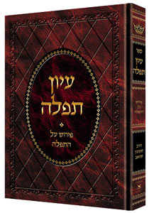 IYUN TEFILLAH / R' Schwab [Hebrew]