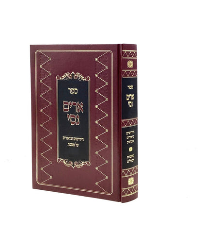 ארים נסי - פסחים