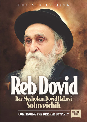 Reb Dovid (Soloveitchik) Volume 1