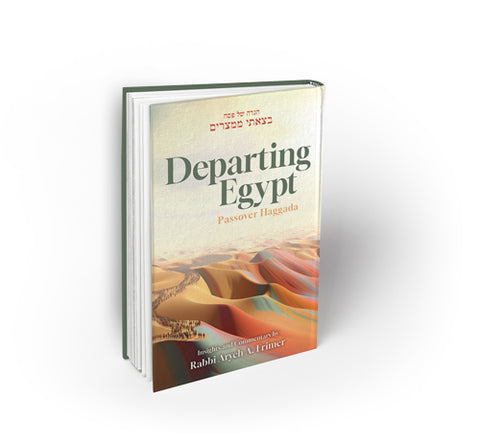 Departing Egypt Haggadah