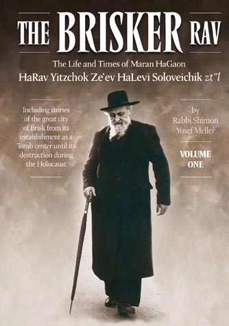 The Brisker Rav, Volume 1